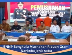 BNNP Bengkulu Musnahkan 5,3 Kg Ganja dan 37,66 Gram Sabu