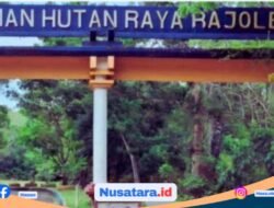 Menjaga Hutan Bengkulu: Antara Pilihan Kebijakan dan Ancaman Musibah Besar