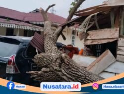 Cuaca Ekstrem, Pohon Tumbang Rusak Kendaraan dan Rumah