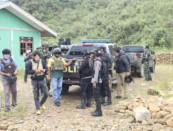 Tim Gabungan Satgas Damai Cartenz, Polres Pegunungan Bintang dan TNI Temukan Ladang Ganja dalam Patroli Taktis