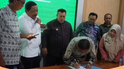 Harga Sawit Anjlok, Perusahaan di Mukomuko Dipaksa Kembali Ikuti Harga Pemprov
